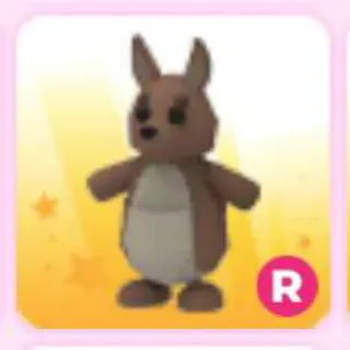 KANGAROO R