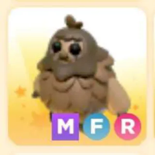 SASQUATCH MFR