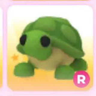 TURTLE R