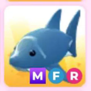 SHARK MFR