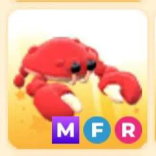 CRAB MFR