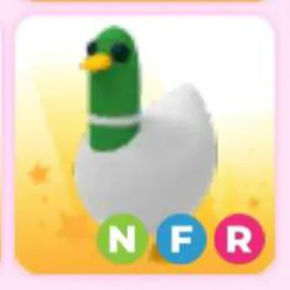 SILLY DUCK NFR