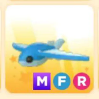 FLYING FISH MFR