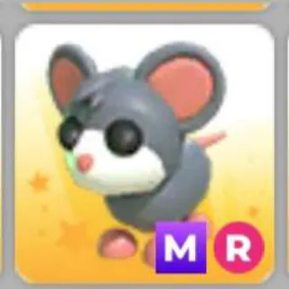 MOUSE MR