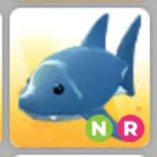 SHARK NR