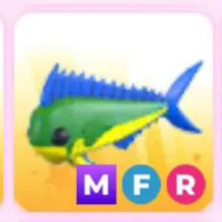 MAHI MAHI MFR