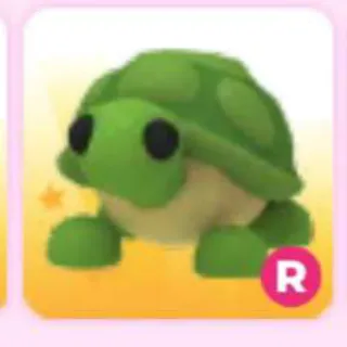 TURTLE R