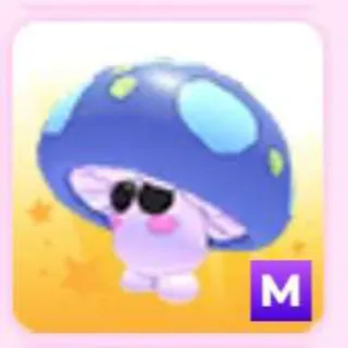 MUSHROOM FRIEND M