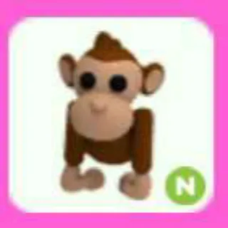 MONKEY N