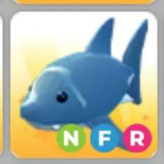 SHARK NFR