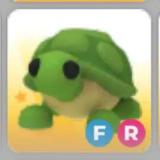 TURTLE FR