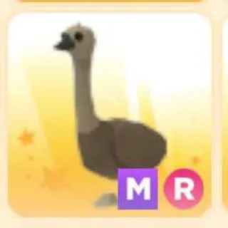 Pet | EMU MR