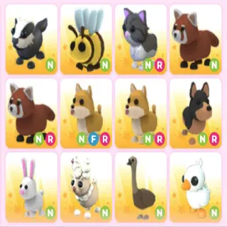 ADOPTME PETS X12