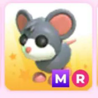 MOUSE MR