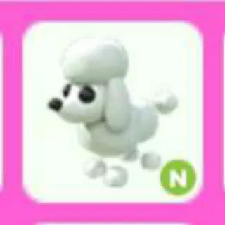 POODLE N