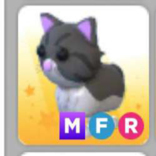 Pet | PERSIAN CAT MFR - Game Items - Gameflip