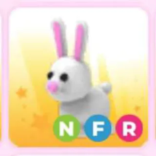 BUNNY NFR