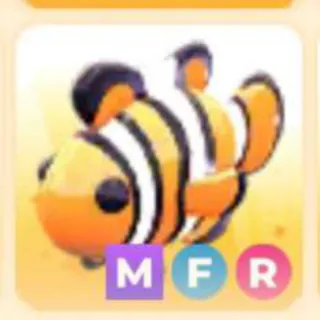 CLOWNFISH MFR