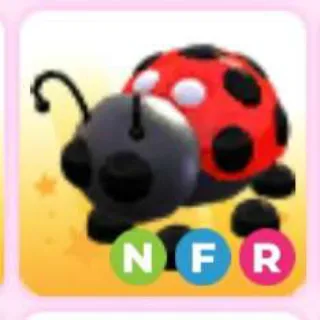 LADYBUG NFR