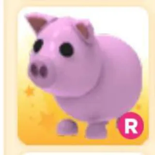 PIG R