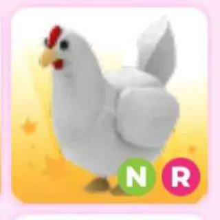 CHICKEN NR