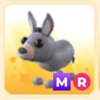 DONKEY MR