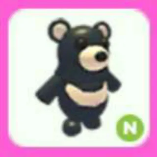 BLACK MOON BEAR N