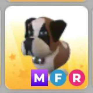 ST BERNARD MFR