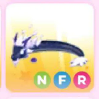 MIDNIGHT DRAGON NFR