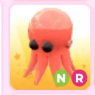 OCTOPUS NR