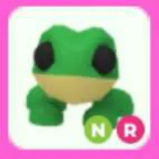 FROG NR