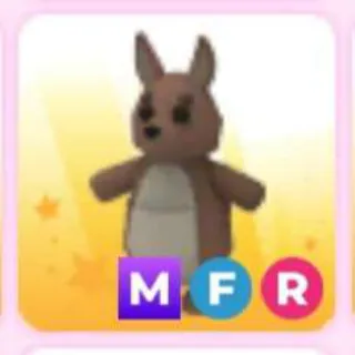 KANGAROO MFR