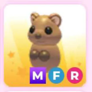 QUOKKA MFR