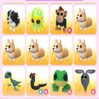 ADOPTME PETS X12