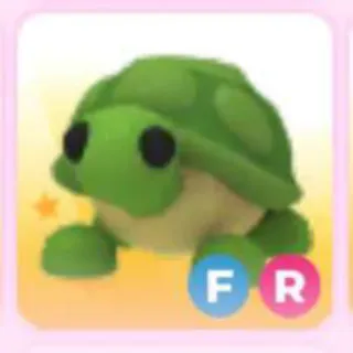 TURTLE FR