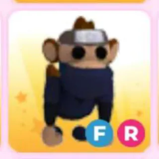 NINJA MONKEY FR