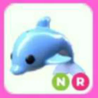 DOLPHIN NR