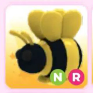 KING BEE NR