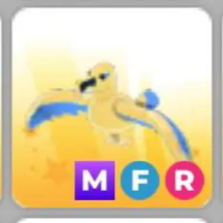 GOLDEN ALBATROSS MFR