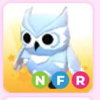 SNOW OWL NFR