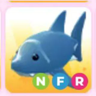 SHARK NFR