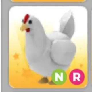 CHICKEN NR