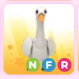 SWAN NFR