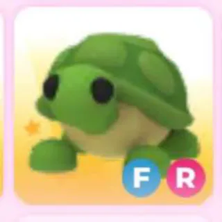 TURTLE FR