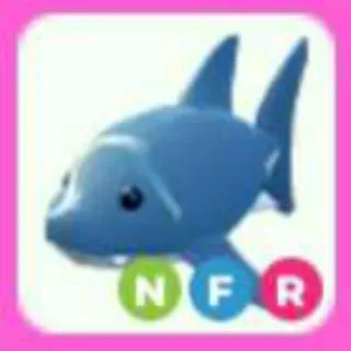 SHARK NFR