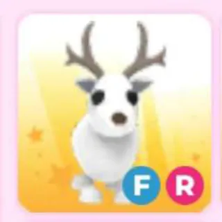 ARCTIC REINDEER FR