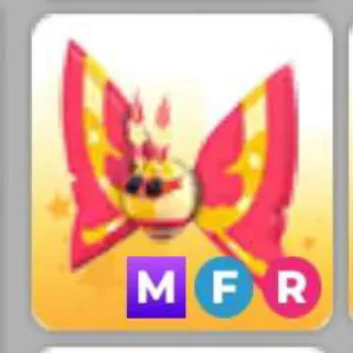 ROSY MAPLE MOTH MFR