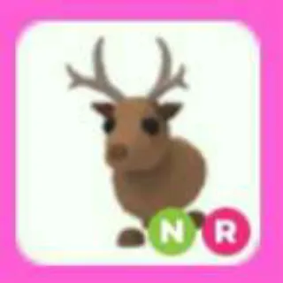 REINDEER NR