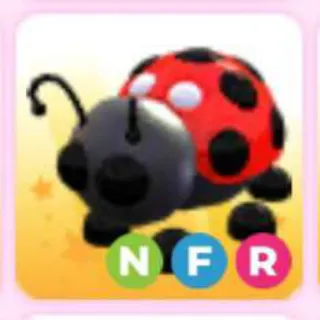 LADYBUG NFR