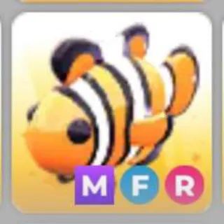 CLOWNFISH MFR